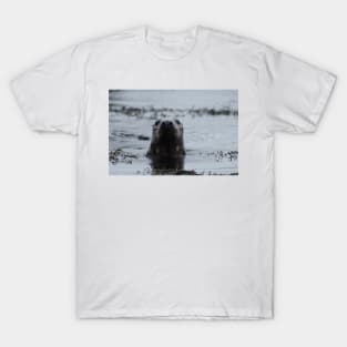 EAU DE COLOGNE T-Shirt